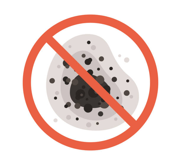 Best Residential Mold Inspection & Testing  in Prospect Rk, PA